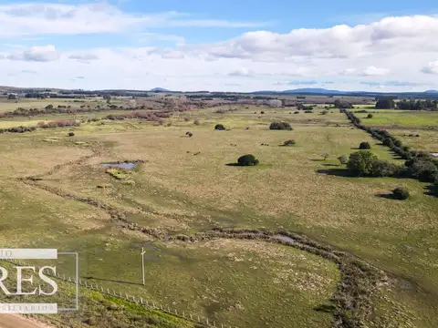 Campo de 114ha en Puntas de José Ignacio