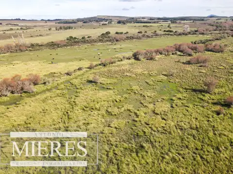 Campo de 114ha en Puntas de José Ignacio