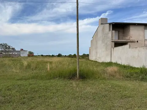 Friedrich Von Hayek S/N