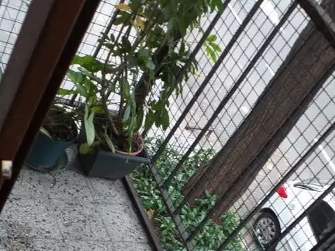 Honduras 4000, Piso 1