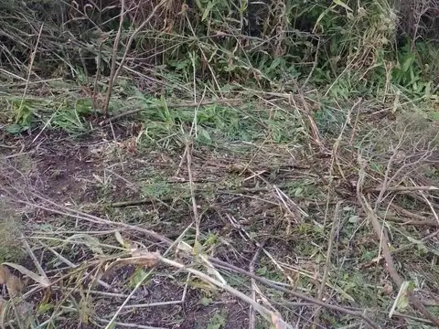 Campo en Arana 10 HA