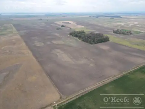 Campo en venta mixto de 338 has Bolivar