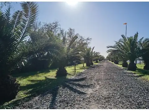 Terreno en Venta 35  mts Fondo