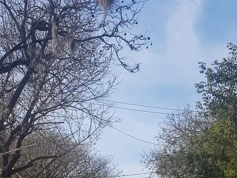 Casa en Alquiler de 2 dormitorios