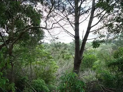 Terreno en Venta 3  mts Frente