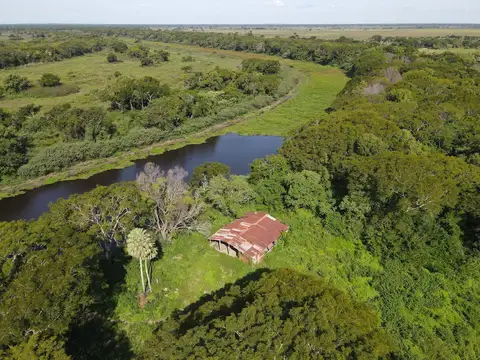 3356 has ganaderas novilleras - Col Pastoril Tacuari - Basail - Chaco