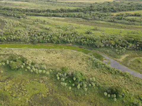 Campo en Venta Ganadero