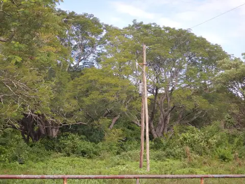 Campo en Venta de 3.356  ha