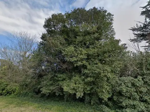 Terreno en venta - 723Mts2 - Mar del Plata