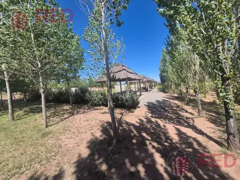 Vende Terreno en Chocon Medio - Sector Medanos