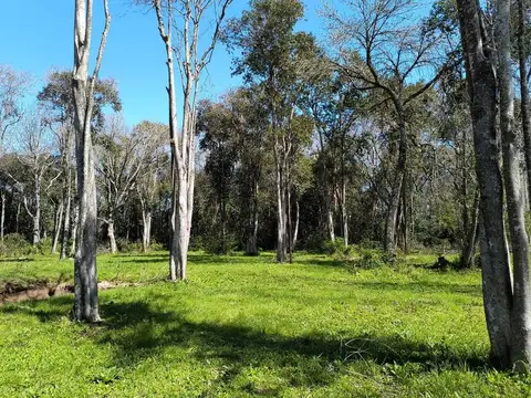 Terreno en Venta de 120000,0 m2