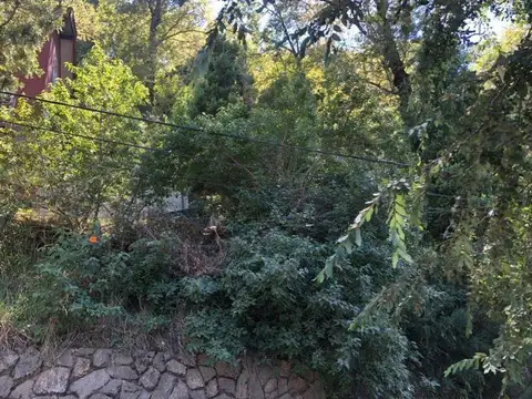Terreno en Venta 25  mts Fondo