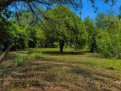 Terreno en Venta de 5000,0 m2