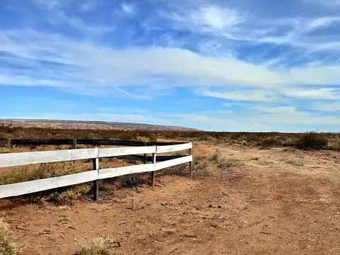 Terreno en Venta en Senillosa, USD 25.000