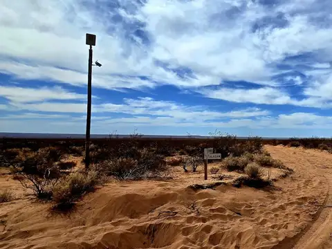 Terreno en Venta de 10000,0 m2