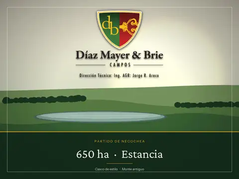 Campo en venta a 26km de la Ruta N°86, Necochea