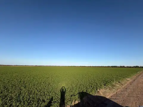 Campo en Santa Clara De Buena Vista