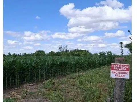 Campo agrícola de 5 hectáreas en venta – Esperanza, Santa Fe