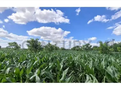 Campo agrícola de 5 hectáreas en venta – Esperanza, Santa Fe