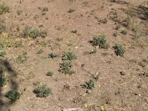Terreno en Venta en San Jose de Tupungato, USD 48.000