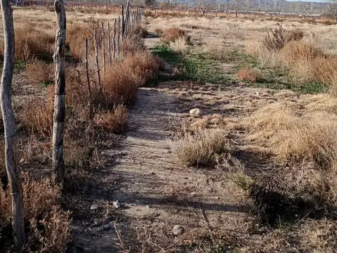 Terreno en Venta de 11200,0 m2