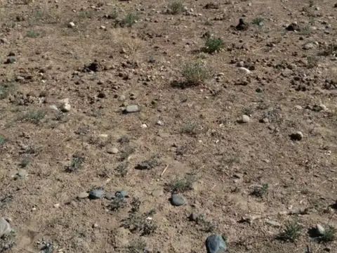 Terreno Ideal para desarrollos, San Jose Tupungato