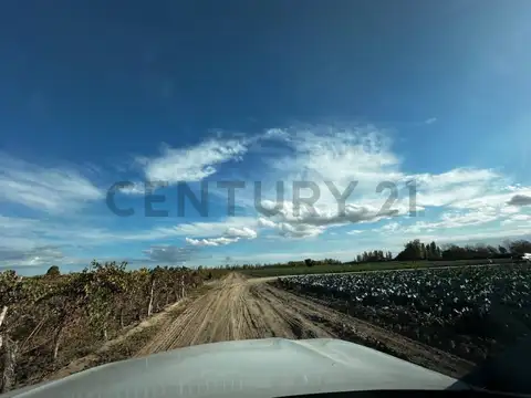 FINCA EN CHAPANAY SAN MARTIN