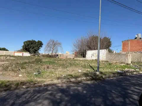VENTA LOTE B SAN IGNACIO JARDIN BOTANICO 300 M2
