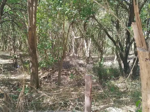 Terreno en Venta 160  mts Fondo