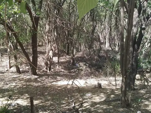 Terreno en Venta 62  mts Frente