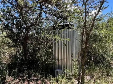 Terreno en Venta de 10000,0 m2