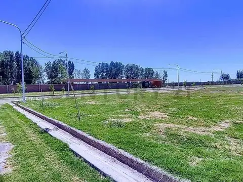 Terreno en Venta en Buena Nueva, USD 12.800