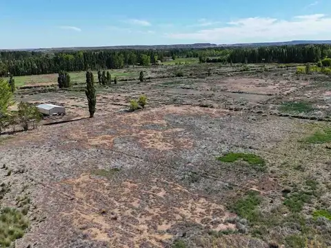 Ruta 22
