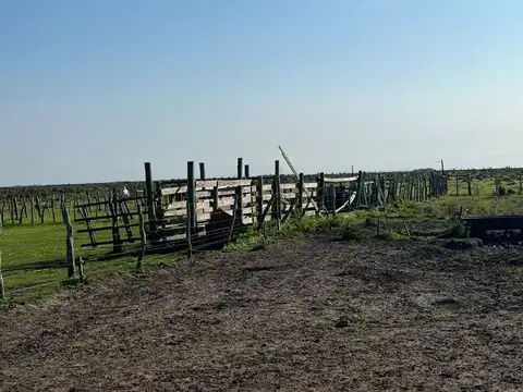 vendo campo ganadero de 43.54 has