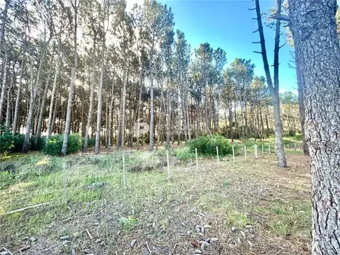 Campo en Venta de 5  ha