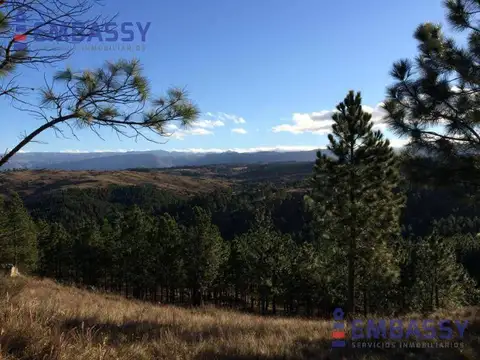 Chacra a la venta de 7 hectareas en la ruta