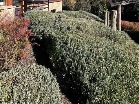 CASA EN VENTA BARRIO MIRALEJOS - SAN MARTIN DE LOS ANDES 100