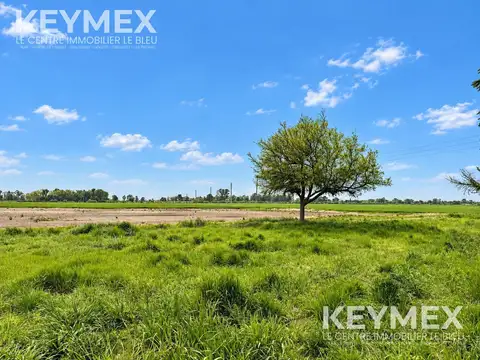 Terreno en Venta en La Recoleta, USD 8.000.000