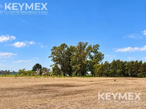 Terreno en Virrey Del Pino