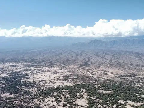 Terreno en Venta de 2910,0 m2