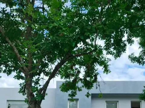 Av. Juan Pablo Ii 1599