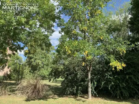 Club De Campo San Francisco Manzanares Pilar