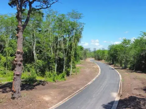 Reserva Fincas 137 7400, Piso 0