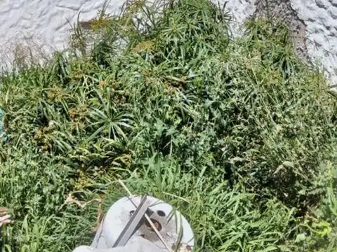 Depto Tipo Casa en Alquiler de 3 ambientes