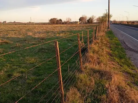 Terreno en Venta de 12500,0 m2