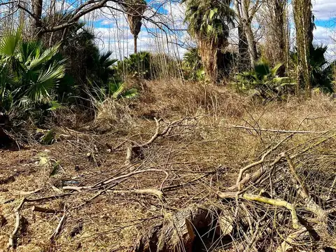 Terreno en Venta de 5000,0 m2