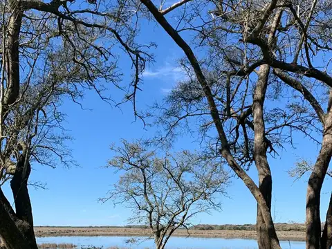 CHACRA CAMPO VENTA MADARIAGA TIO DOMINGO GANADERO