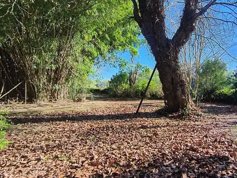 Rio o Arroyo San Antonio / Tres Bocas Pewea 100