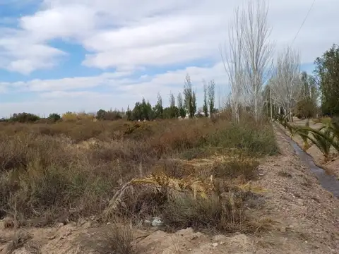 Campo en Cruz de Piedra Maipu apto para cultivo