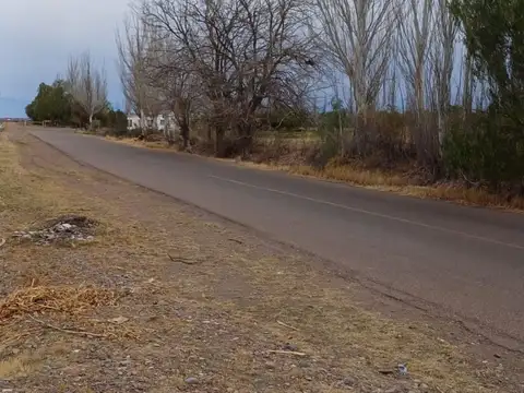 Campo en Cruz de Piedra Maipu apto para cultivo